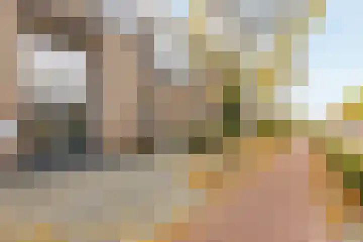 Blijdestein 24 Sittard thumbnail 6
