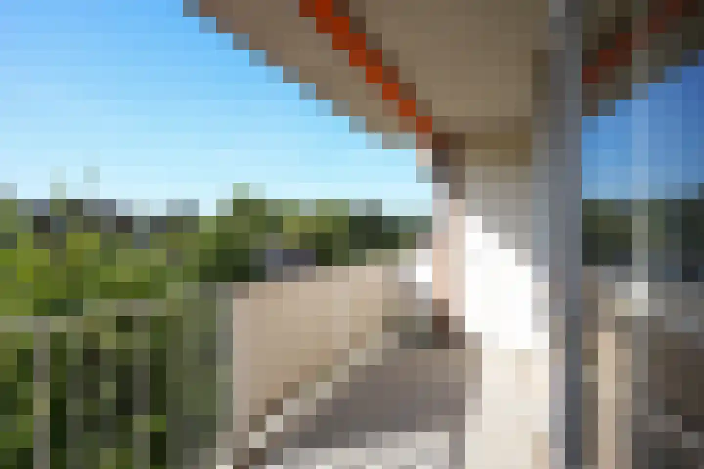 Blijdestein 26 Sittard thumbnail 12