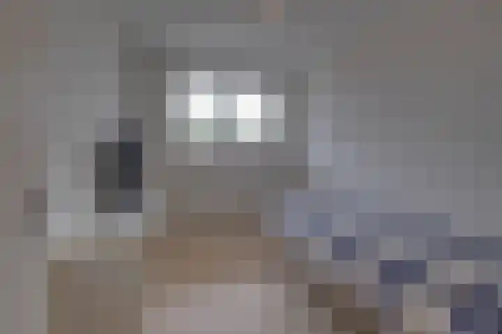 Blijdestein 33 Sittard thumbnail 14