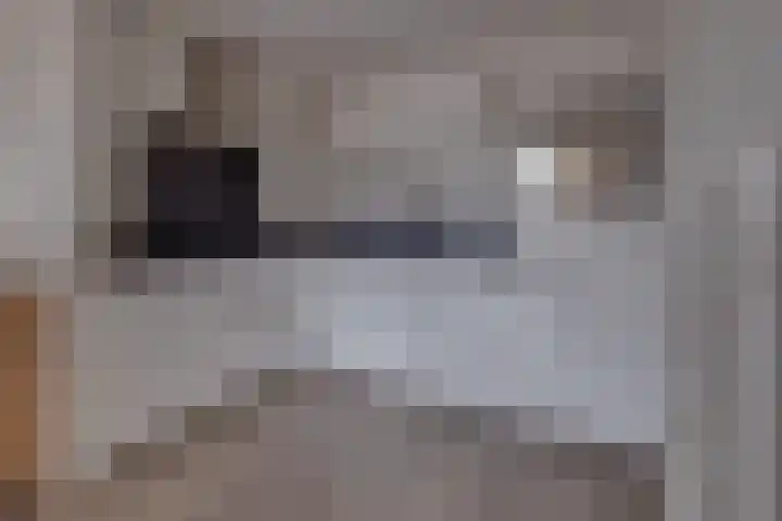 Blijdestein 33 Sittard thumbnail 21