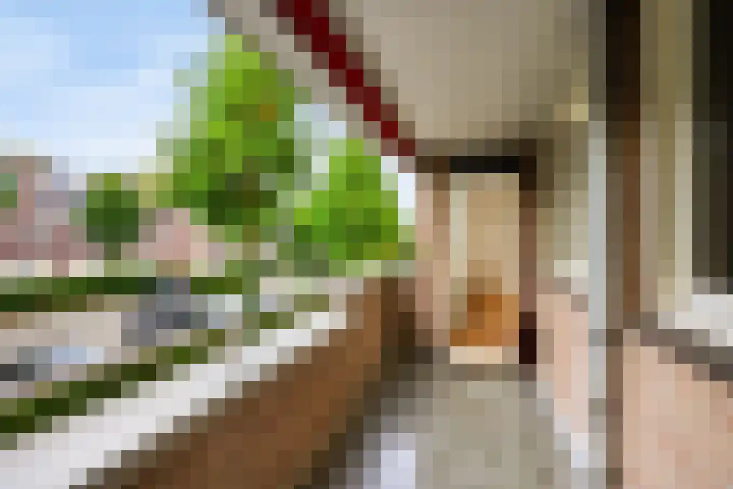 Blijdestein 42 Sittard thumbnail 16