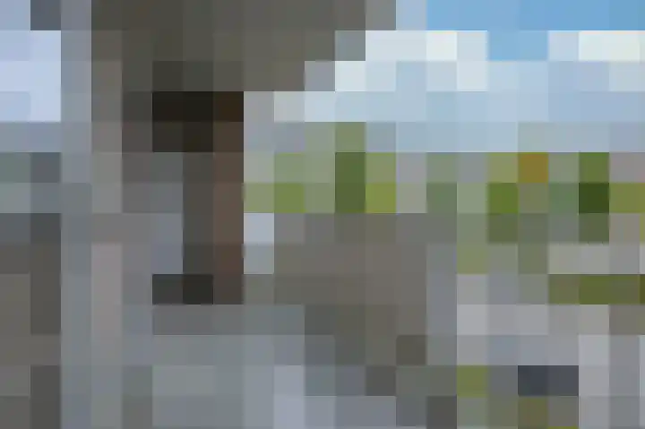 Blijdestein 53 Sittard thumbnail 13