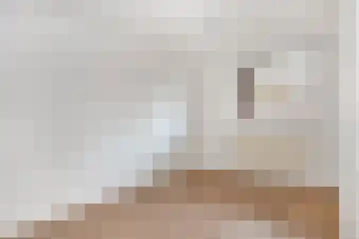 Blijdestein 6 Sittard thumbnail 15
