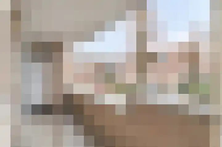 Blijdestein 6 Sittard thumbnail 4