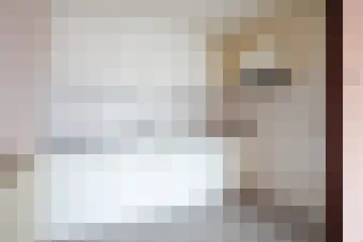 Blijdestein 71 Sittard thumbnail 8