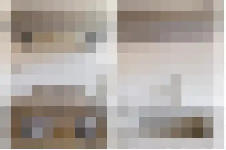 Blijdschapstraat 15 Assendelft thumbnail 15