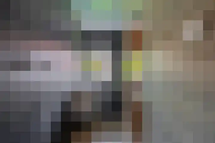 Blijdschapstraat 15 Assendelft thumbnail 17