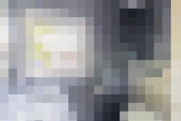 Blijdschapstraat 15 Assendelft thumbnail 18