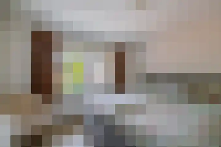 Blijdschapstraat 15 Assendelft thumbnail 20