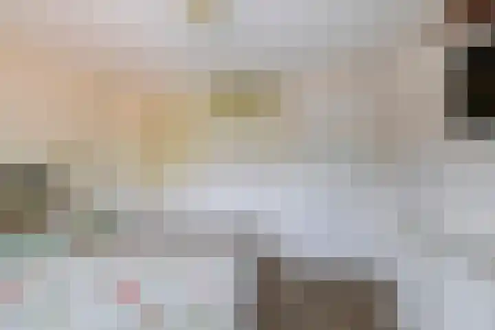Blijdschapstraat 15 Assendelft thumbnail 21