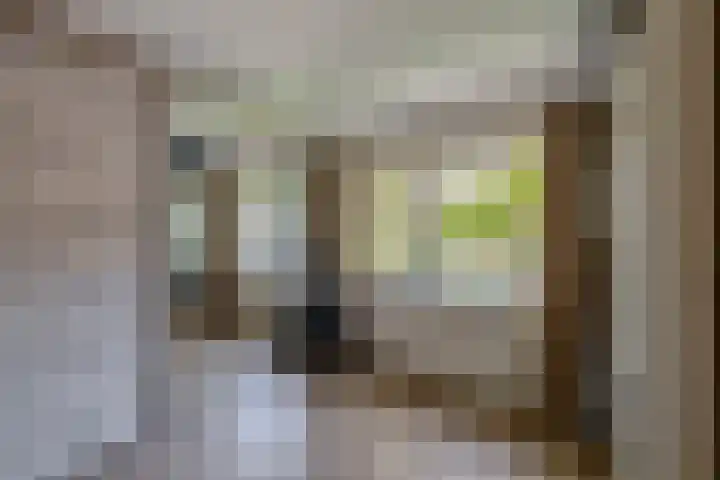 Blijdschapstraat 15 Assendelft thumbnail 22