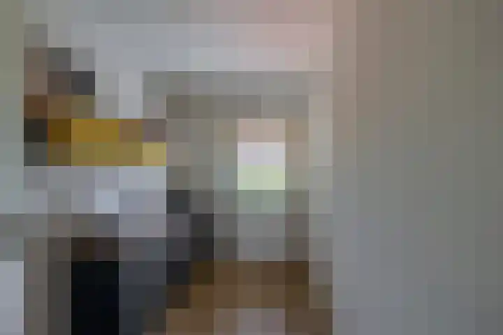 Blijdschapstraat 15 Assendelft thumbnail 23