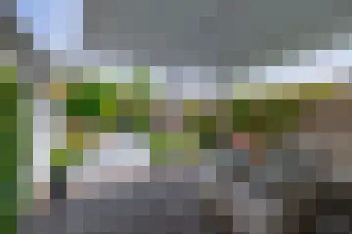 Blijdschapstraat 15 Assendelft thumbnail 26