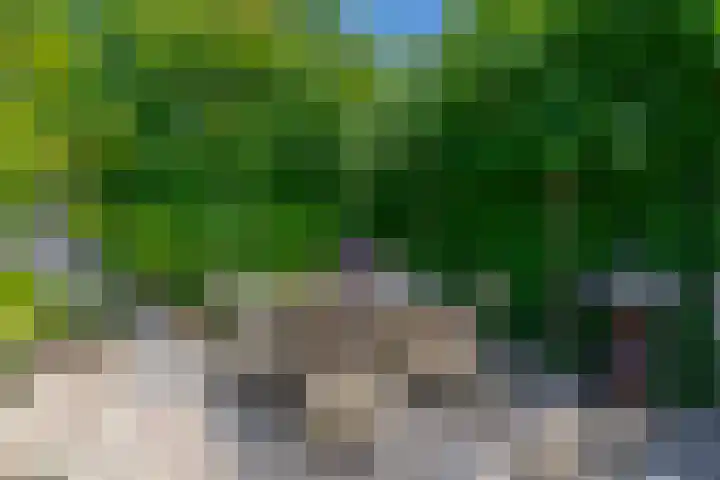 Blijdschapstraat 15 Assendelft thumbnail 27