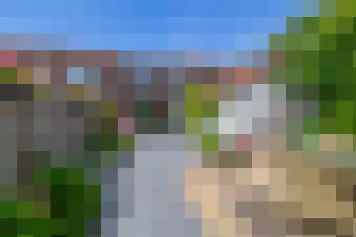 Blijdschapstraat 15 Assendelft thumbnail 28