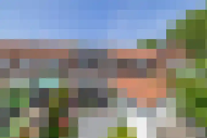 Blijdschapstraat 15 Assendelft thumbnail 31