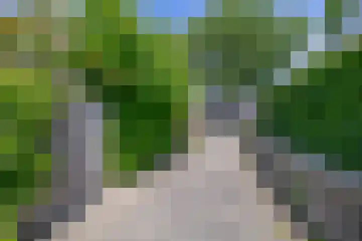 Blijdschapstraat 15 Assendelft thumbnail 32