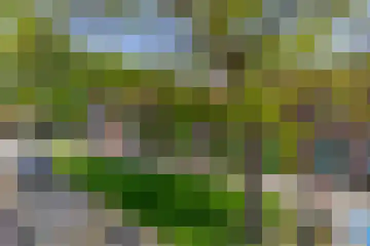Blijdschapstraat 15 Assendelft thumbnail 34