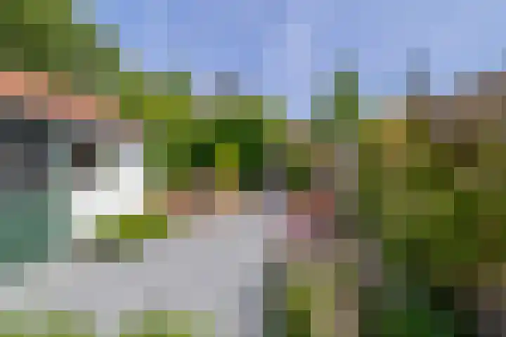 Blijdschapstraat 15 Assendelft thumbnail 4