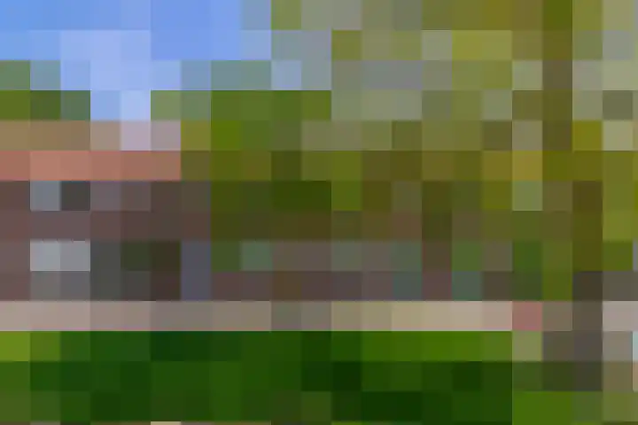 Blijdschapstraat 15 Assendelft thumbnail 5