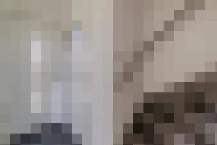 Blijdschapstraat 15 Assendelft thumbnail 8