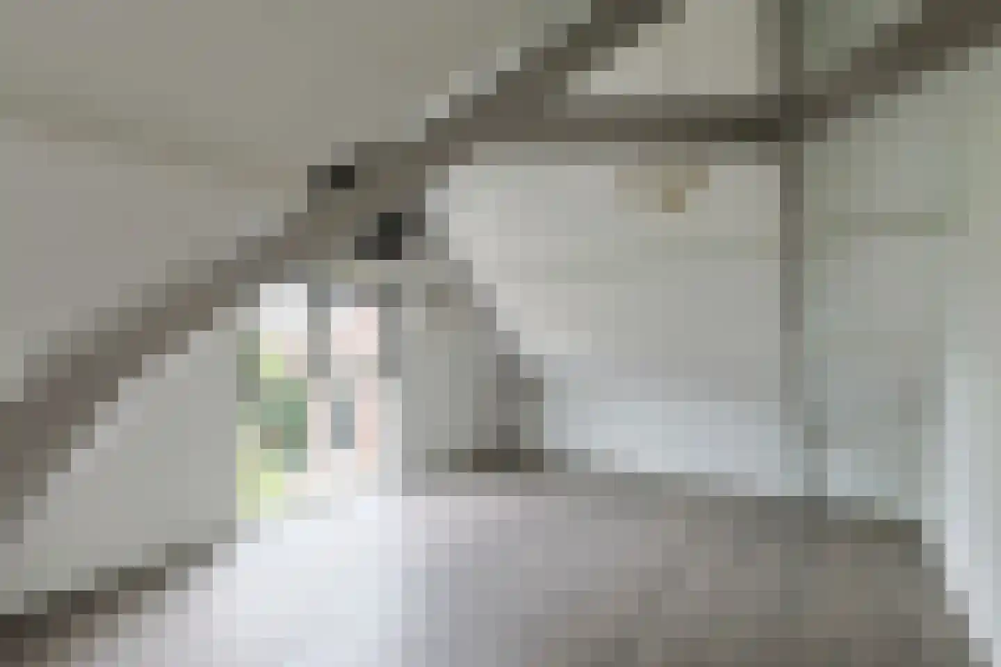 Blijenbergstraat 10 Alphen aan den Rijn thumbnail 26