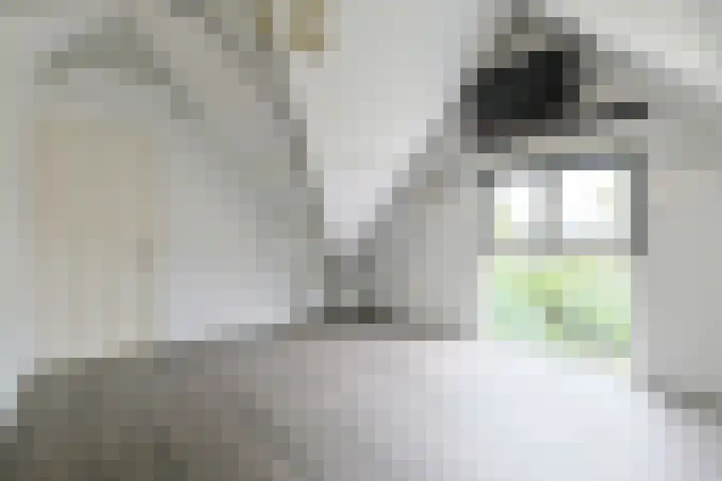 Blijenbergstraat 10 Alphen aan den Rijn thumbnail 27