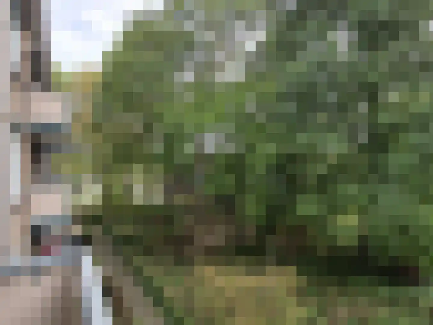 Blijenbergstraat 41 Alphen aan den Rijn thumbnail 26