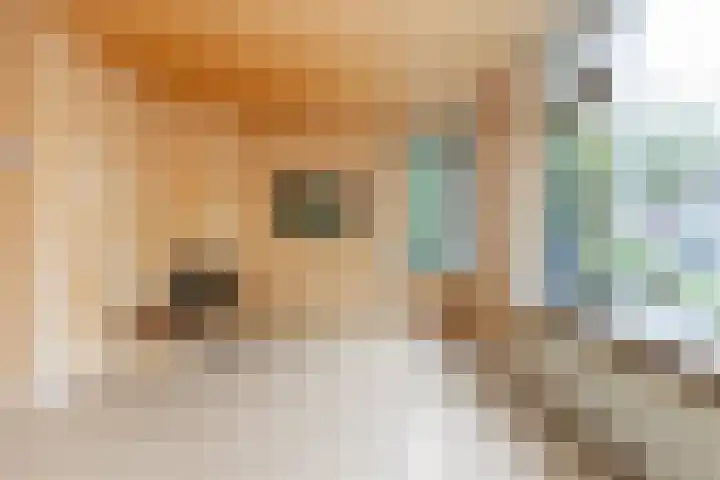 Blijenburghsweer 23 Sliedrecht thumbnail 10