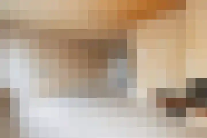 Blijenburghsweer 23 Sliedrecht thumbnail 11