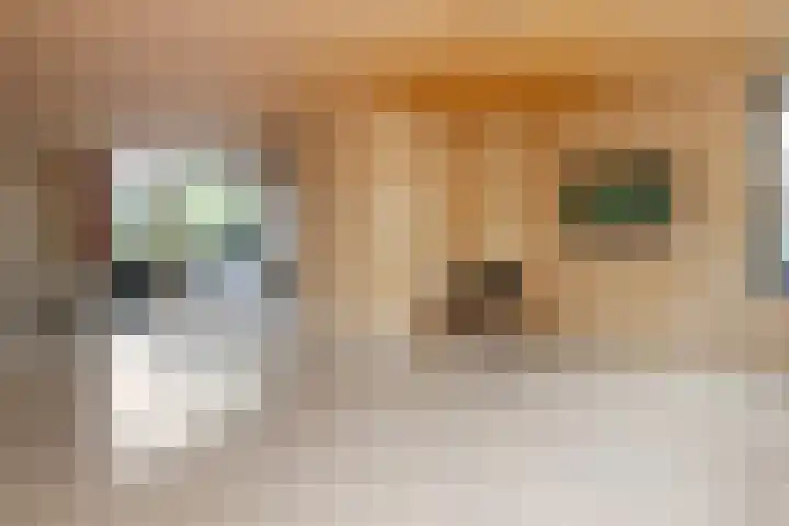Blijenburghsweer 23 Sliedrecht thumbnail 12