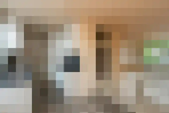 Blijenburghsweer 23 Sliedrecht thumbnail 15