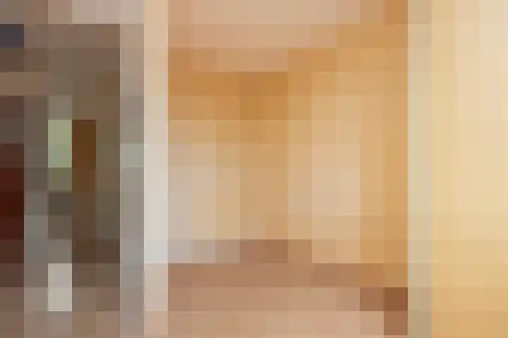 Blijenburghsweer 23 Sliedrecht thumbnail 20