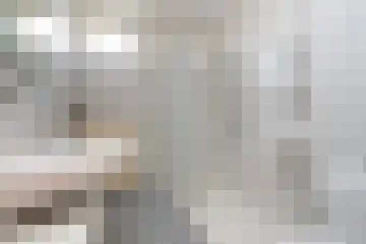 Blijenburghsweer 23 Sliedrecht thumbnail 21