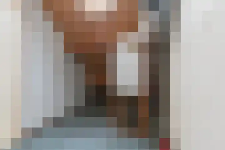Blijenburghsweer 23 Sliedrecht thumbnail 22