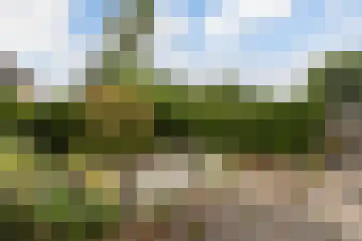 Blijenburghsweer 23 Sliedrecht thumbnail 28