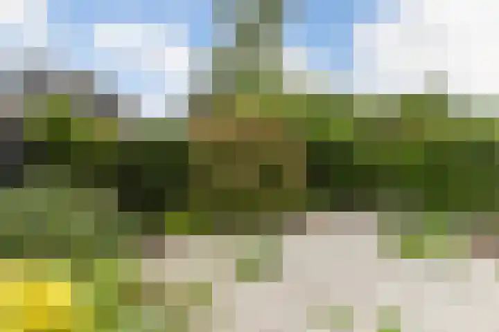 Blijenburghsweer 23 Sliedrecht thumbnail 29