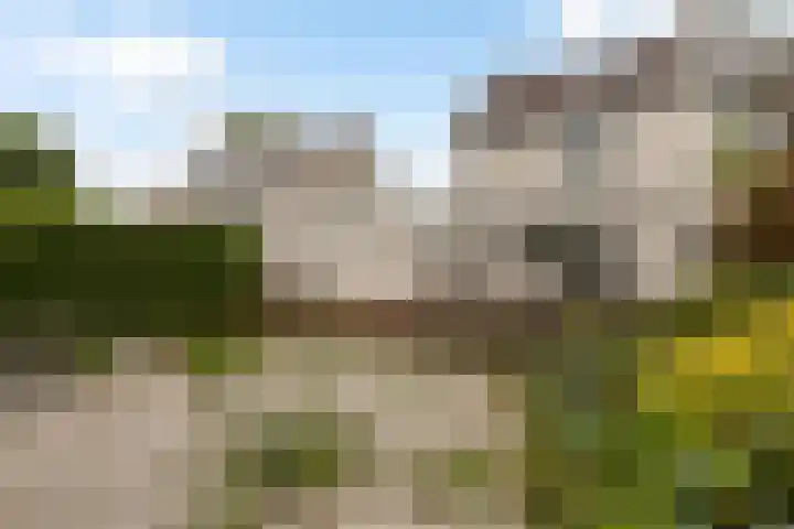 Blijenburghsweer 23 Sliedrecht thumbnail 30