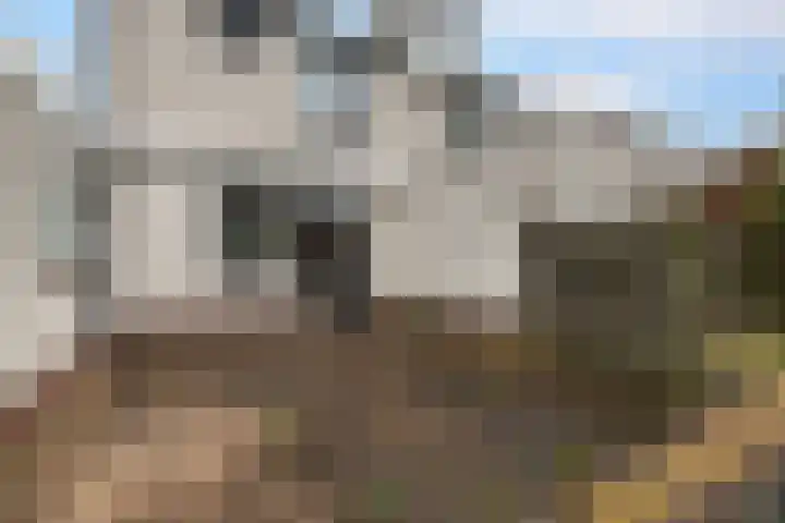 Blijenburghsweer 23 Sliedrecht thumbnail 31