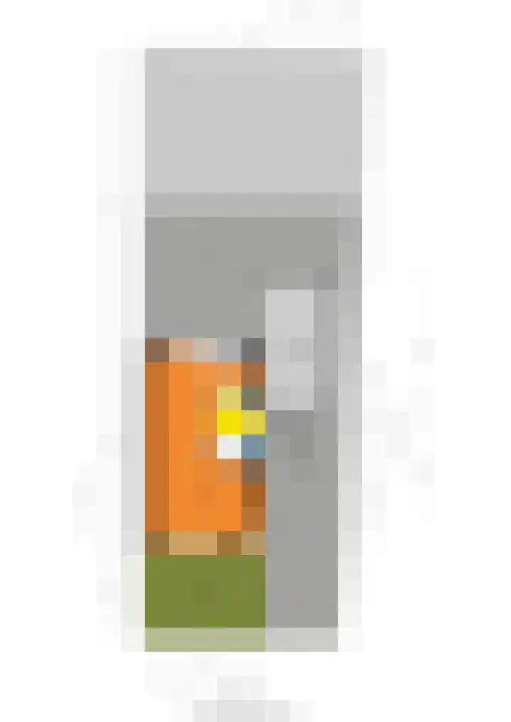 Blijenburghsweer 23 Sliedrecht thumbnail 35
