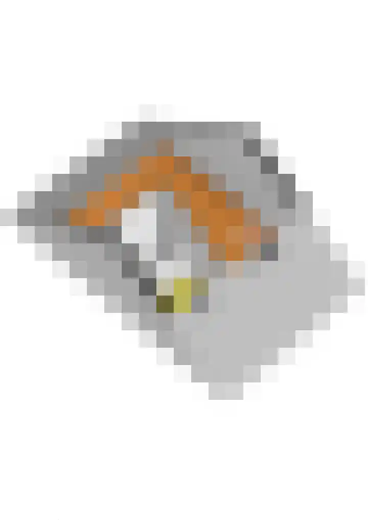 Blijenburghsweer 23 Sliedrecht thumbnail 38