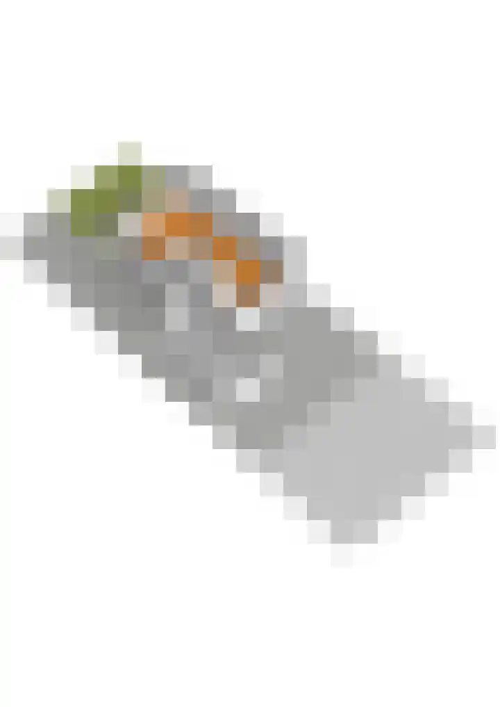 Blijenburghsweer 23 Sliedrecht thumbnail 39