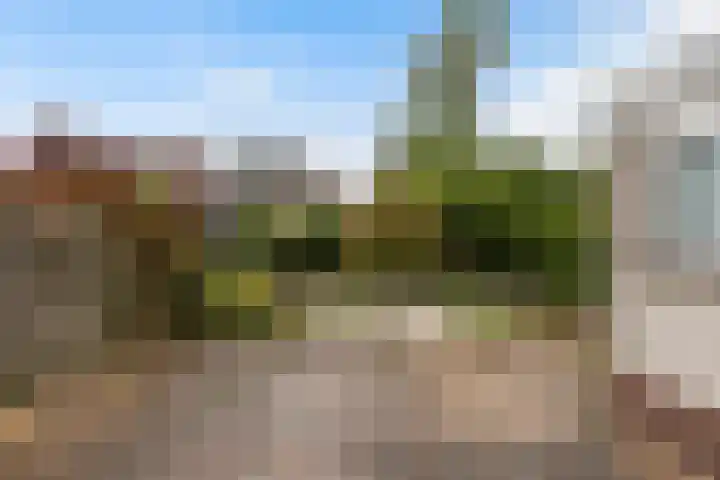 Blijenburghsweer 23 Sliedrecht thumbnail 4