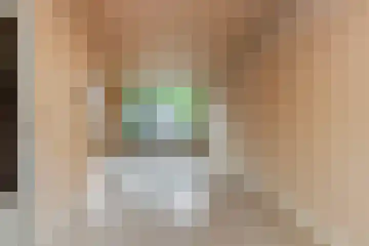 Blijenburghsweer 23 Sliedrecht thumbnail 9
