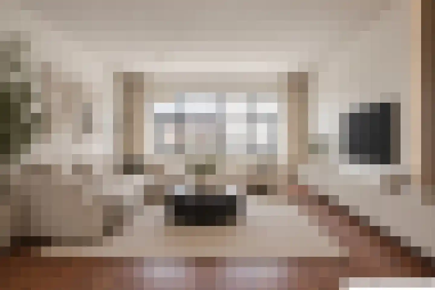 Blijenhoek 12 Gorinchem foto 3