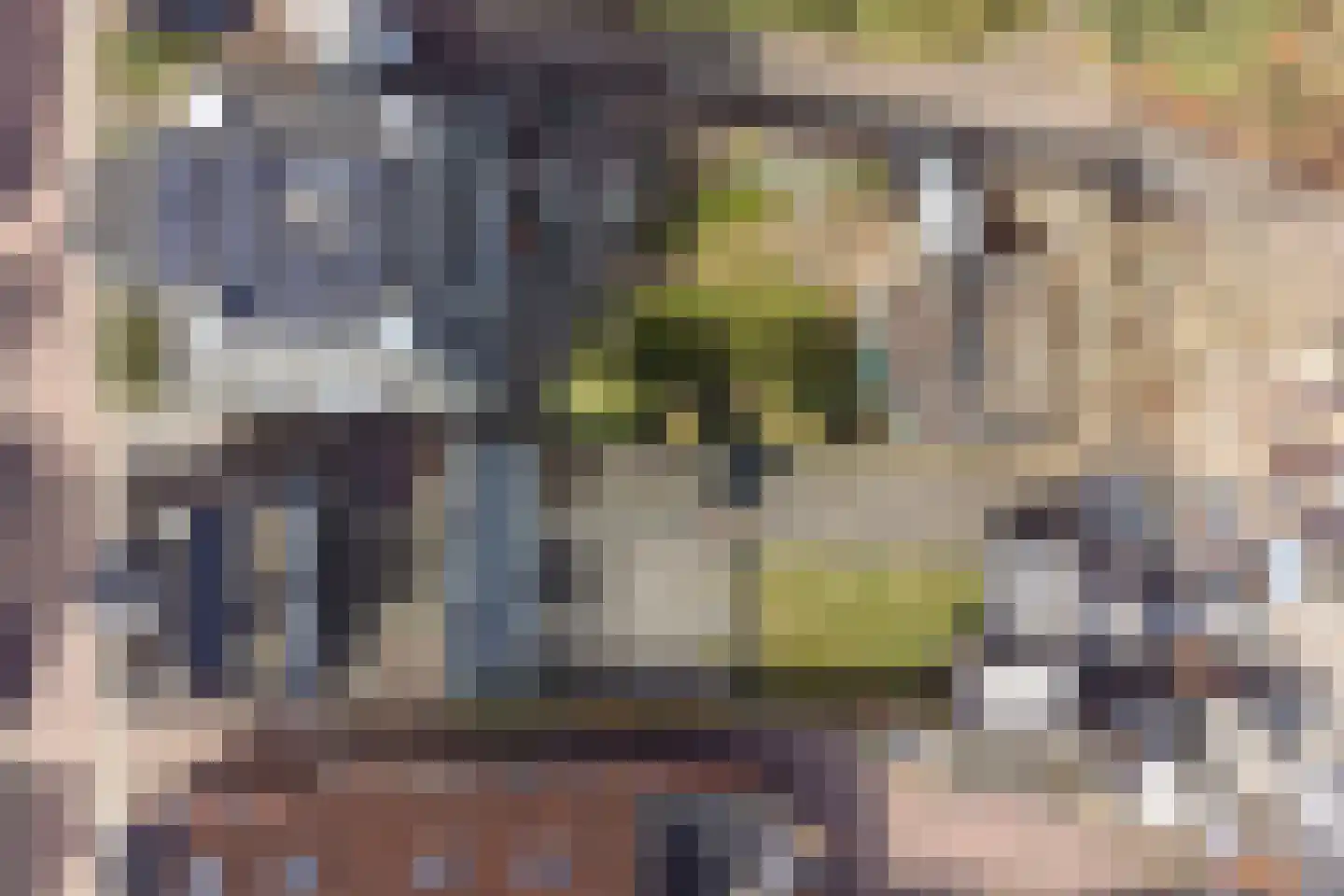 Blijhamsterstraat 50 Winschoten thumbnail 12