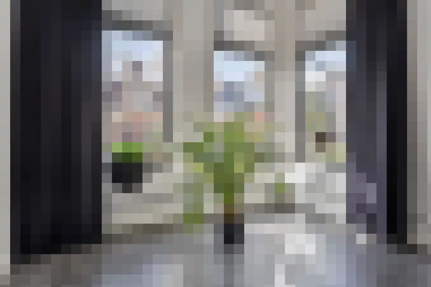 Blijhamsterstraat 50 Winschoten thumbnail 36