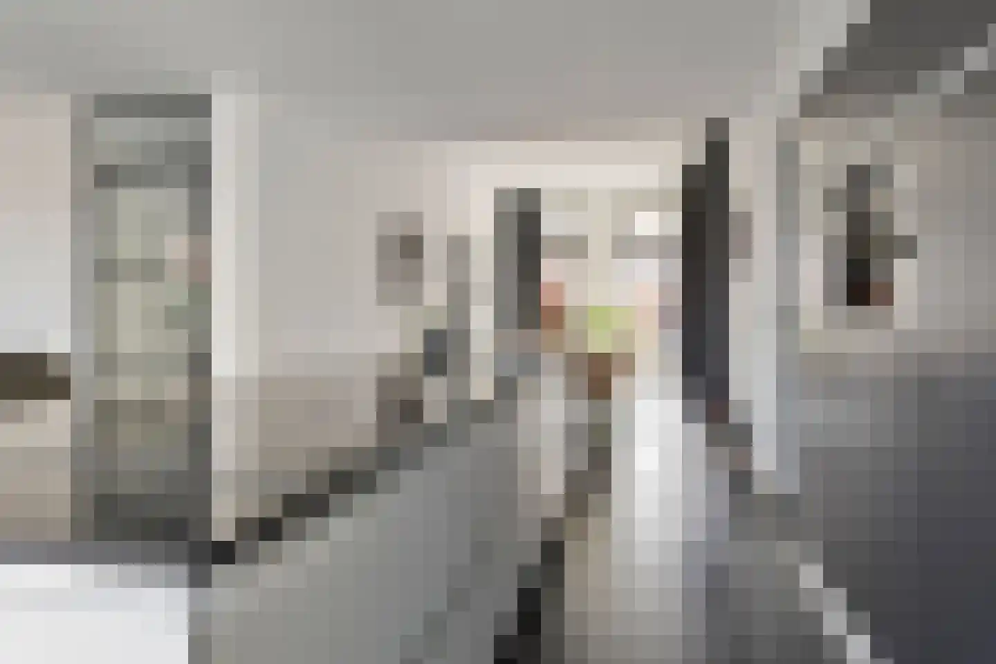 Blijhamsterstraat 50 Winschoten thumbnail 38