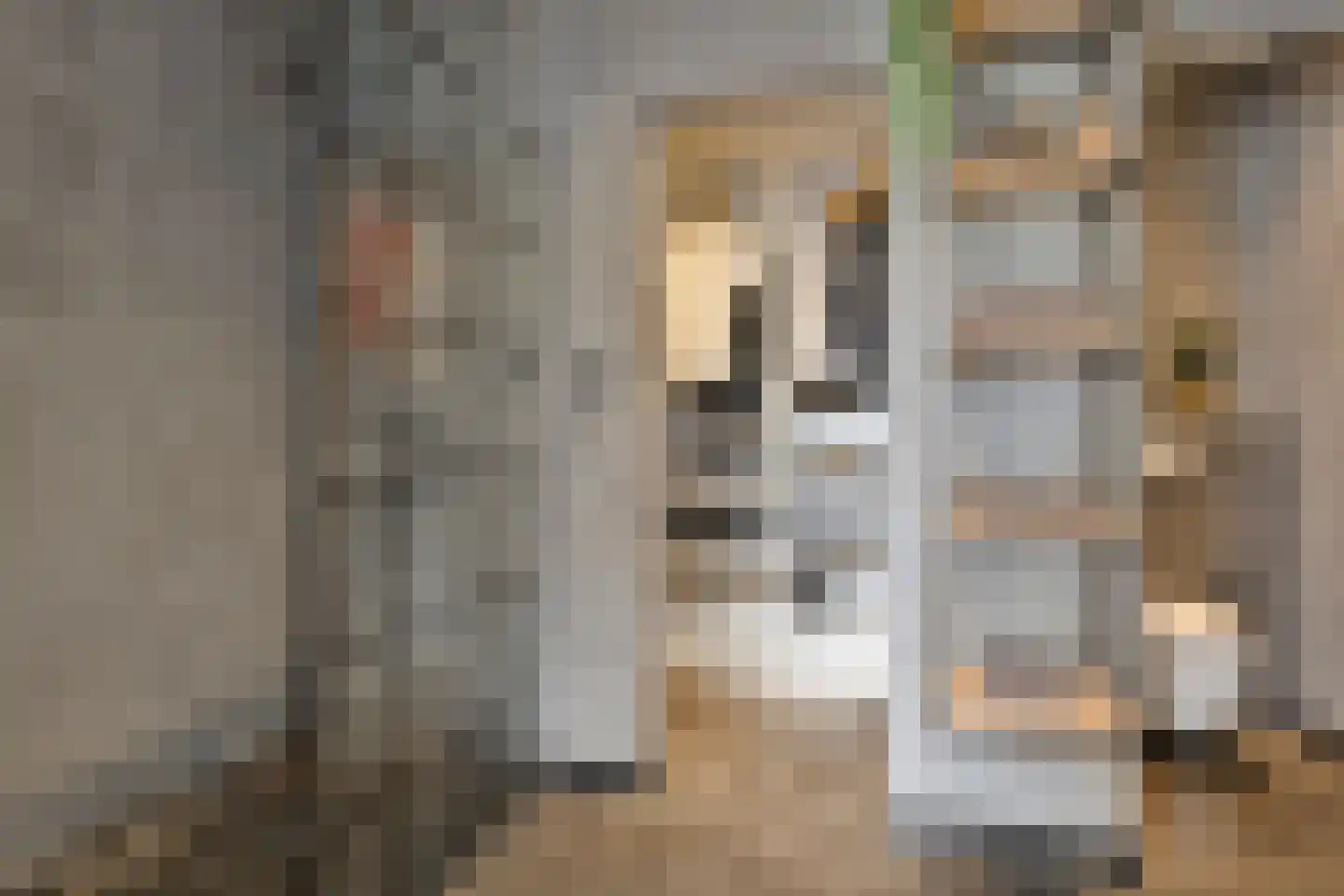 Blijhamsterstraat 50 Winschoten thumbnail 44