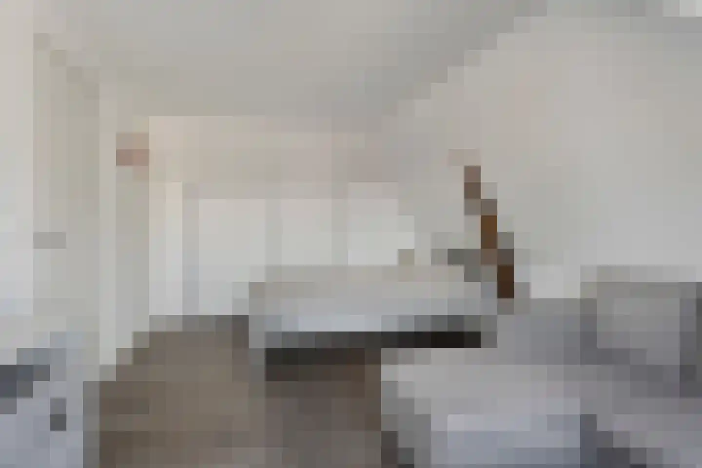 Blijhamsterstraat 50 Winschoten thumbnail 58